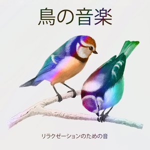 森の午後封面
