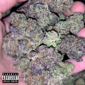 $impleez(feat. Glizzdamenace, $Ain't & Houdini2x) (Explicit)