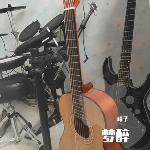 梦醉