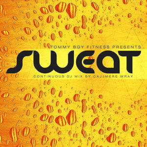 The Way I Do (Remix Radio Edit)