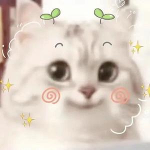 烧不尽春思