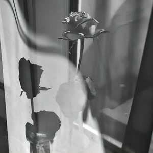 爱的故事上集 (DJ沈梦逸版)