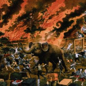 Elephant In Da Room (Explicit)