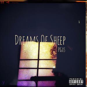 Dreams Of Sheep