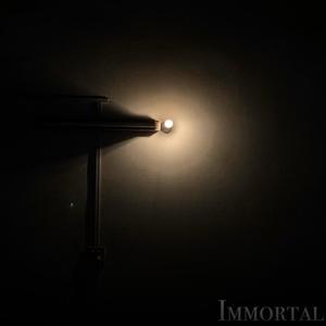 Immortal