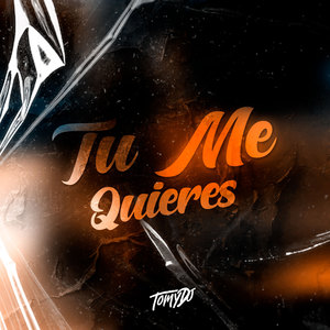 Tu Me Quieres (Afrohouse)