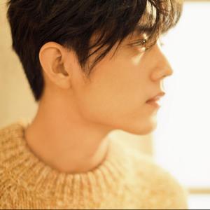 驭风（肖战应援曲）