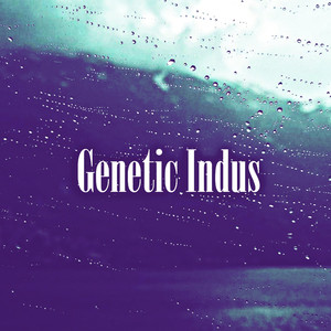 Genetic Indus