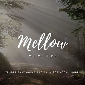 Mellow Moments - Tender Easy Going And Calm Pop Vocal Songs, Vol. 15