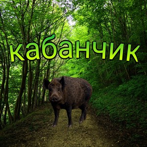 Кабанчик