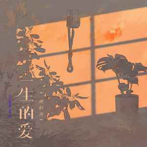 一生的爱-黄静美