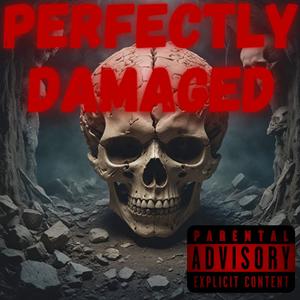 Perfectly Damaged (Explicit)