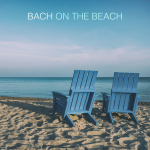 Violin Concerto No. 1 in A minor, BWV 1041 - J.S. Bach: Violin Concerto No. 1 in A minor, BWV 1041: I. (Allegro moderato)