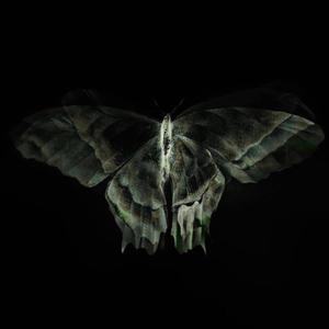 Lay With Me (feat. Kasire) (Explicit)