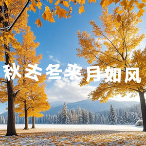 秋去冬来月如风（陪我过冬）