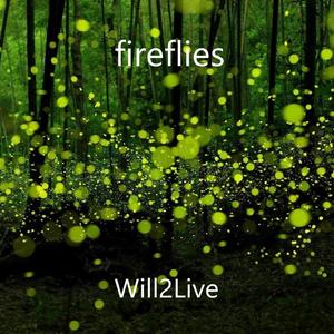 fireflies