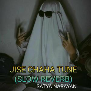 Satya Narayan - Jise Chahaa tune (slowed reverb)