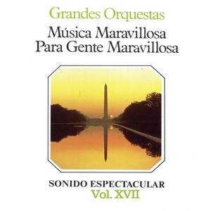 Música Maravillosa para Gente Maravillosa Grandes Orquestas Vol. XVII