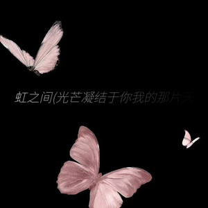 虹之间(光芒凝结与你我的那片天)