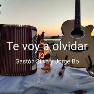 Te Voy a Olvidar