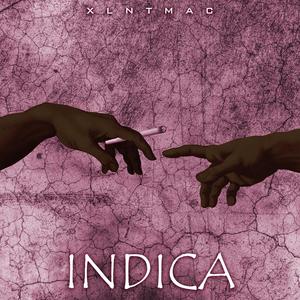 INDICA (Explicit)