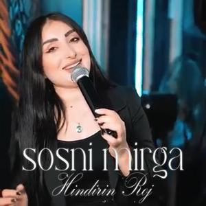 sosni mirga