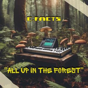 C.Facts - Under The Growth