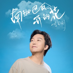 南迦巴瓦开的花
