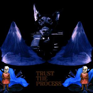 TRUST THE PROCESS (Explicit)