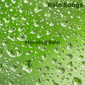 Morning Rain