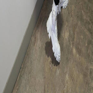 Hit A Lick (feat. Parkin Lot Louie & Young Rack) (Explicit)