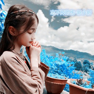 新小新 - 忘不掉的伤 (DJ版)