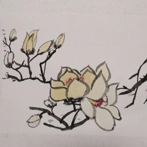 照耀星河封面