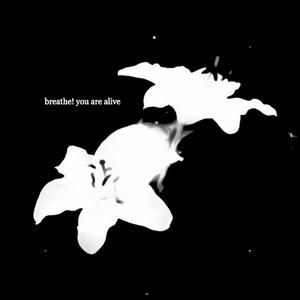 breathe! you are alive