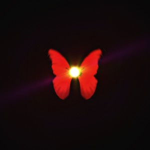 butterfly (Explicit)