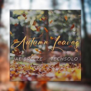 Autumn Leaves (feat. TechSoLo) (Explicit)