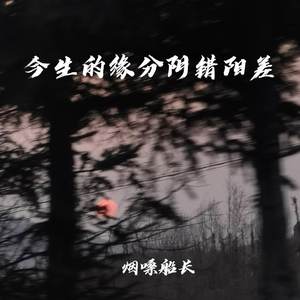 烟嗓船长 - 今生的缘分阴错阳差 (对唱版)