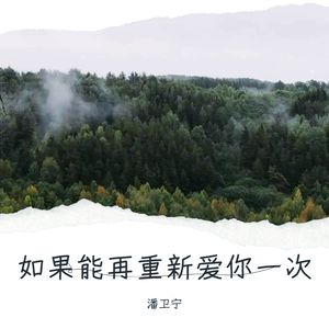 如果能再重新爱你一次