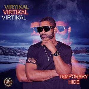 Temporary Hide (feat. Virtikal)