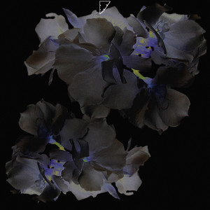 Поделиться