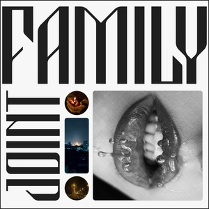 JOINT FAMILY