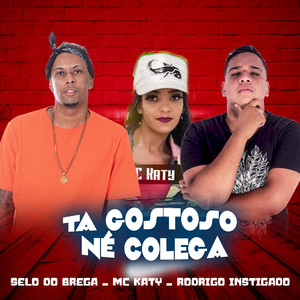 Tá Gostoso Né Colega (Brega Funk) [Explicit]