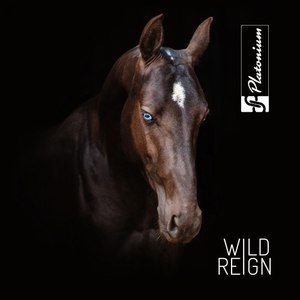 Wild Reign