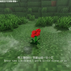 每次想你时 我都会插一朵小花
