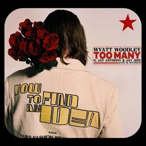 TOO MANY (feat. Jay Anthony & Jay 305) (Explicit)