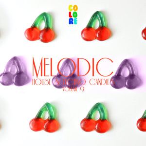 Melodic House & Techno Candies, Vol. 9