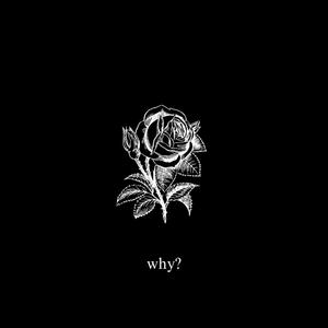 why? (Explicit)