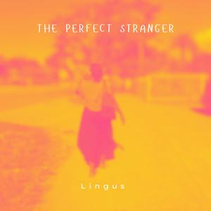 The Perfect Stranger