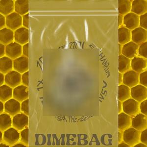 Dimebag (feat. asáu, Dink the Poof, Ethanplus, ql1x & ZCR)