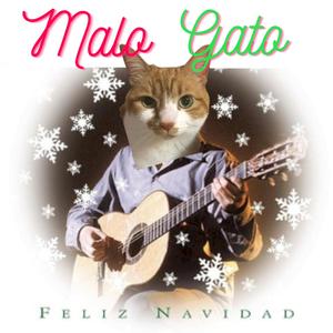 Feliz Navicat